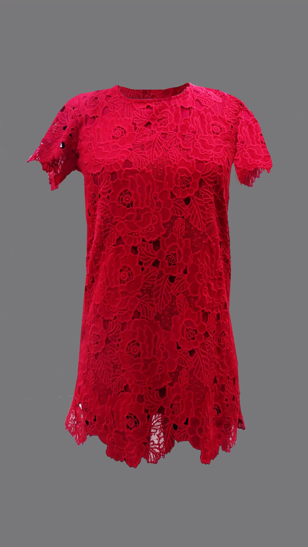 Enchanting Lace Dress