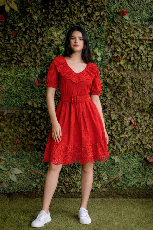 Crimson Blush Dress