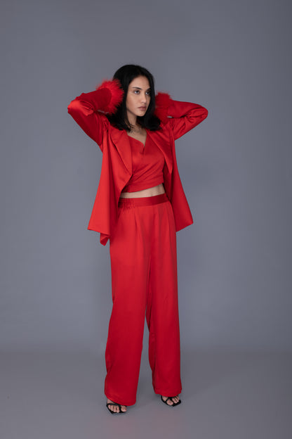 Aesthetic 3 Piece  Pant Suit.Comes With Bustier, Wide Leg Pant & Front Open Coat With Little Feathers Detail On Sleeve